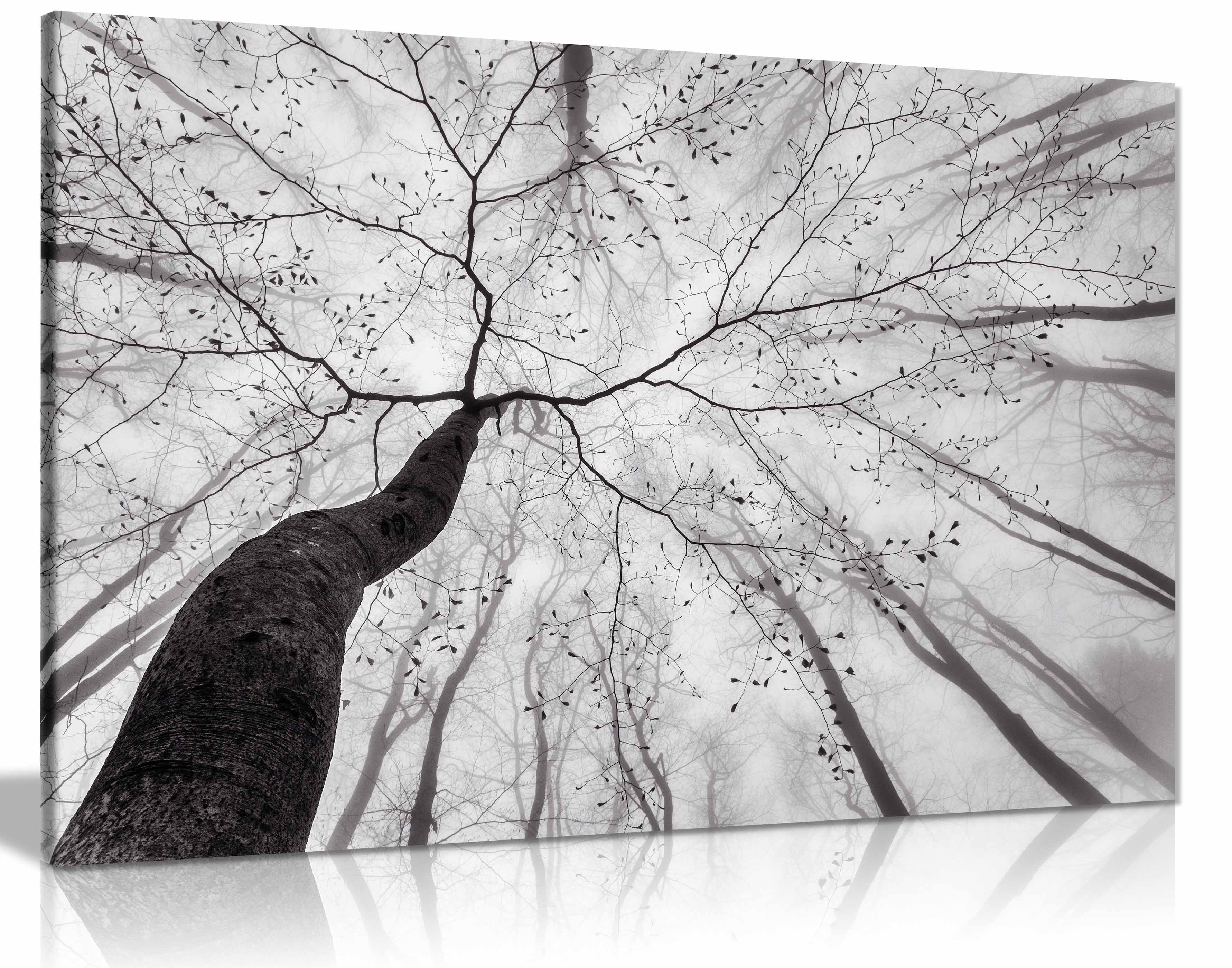 A view of the tree crown, Pictures for Home Walls, Bedroom, Living Room & Bathroom Decor