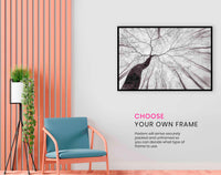 A view of the tree crown, Pictures for Home Walls, Bedroom, Living Room & Bathroom Decor