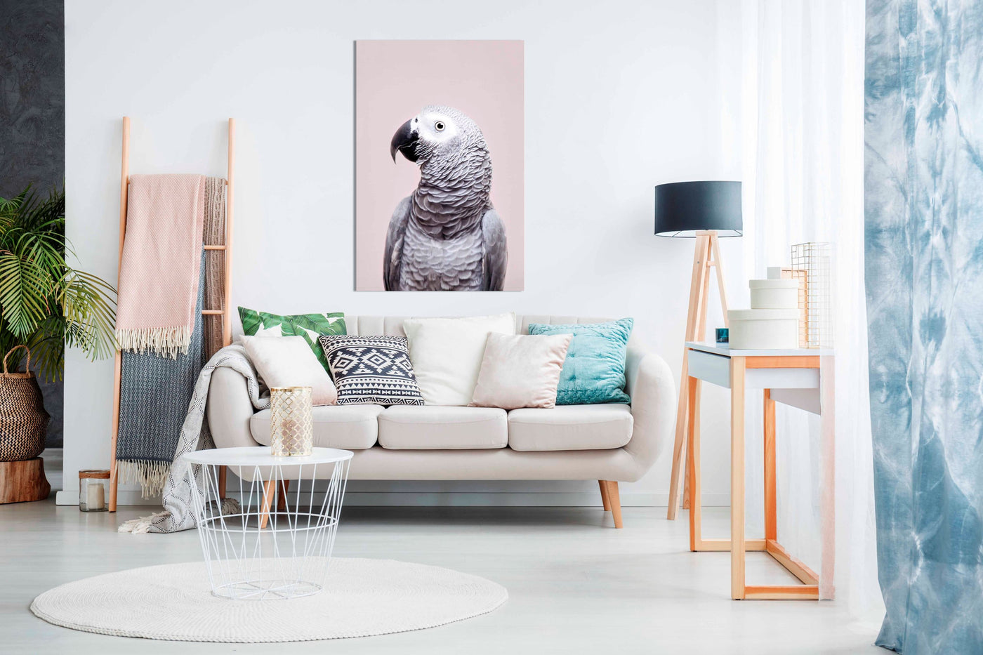 African Grey, Pictures for Home Walls, Bedroom, Living Room & Bathroom Decor