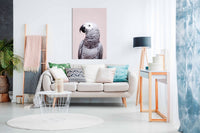 African Grey, Pictures for Home Walls, Bedroom, Living Room & Bathroom Decor