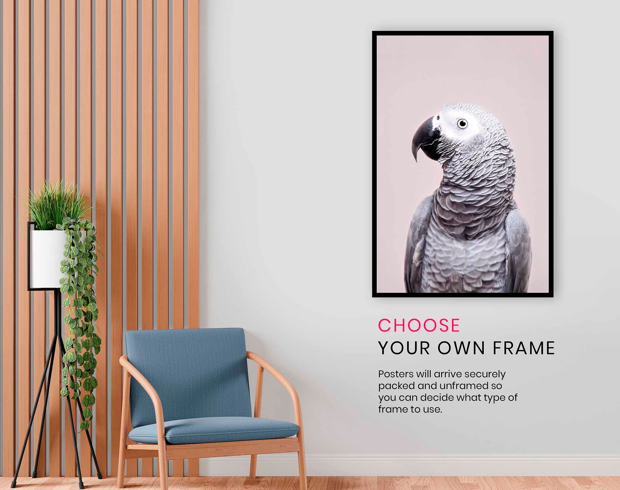 African Grey, Pictures for Home Walls, Bedroom, Living Room & Bathroom Decor