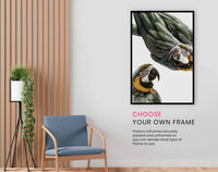 Amazonia, Pictures for Home Walls, Bedroom, Living Room & Bathroom Decor