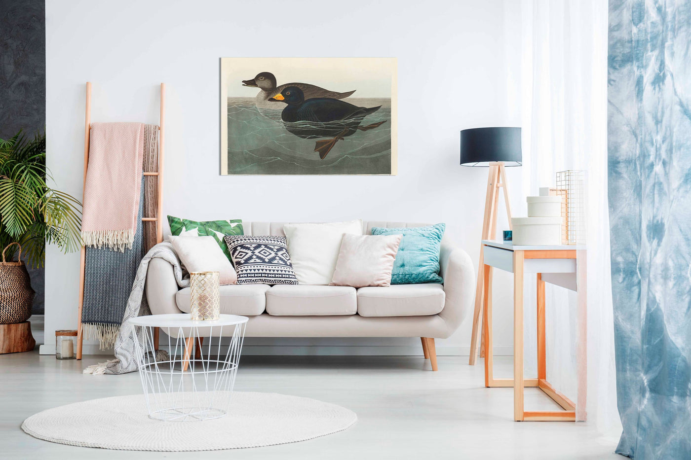 American Scoter Duck From Birds of America 1827, Pictures for Home Walls, Bedroom, Living Room & Bathroom Decor