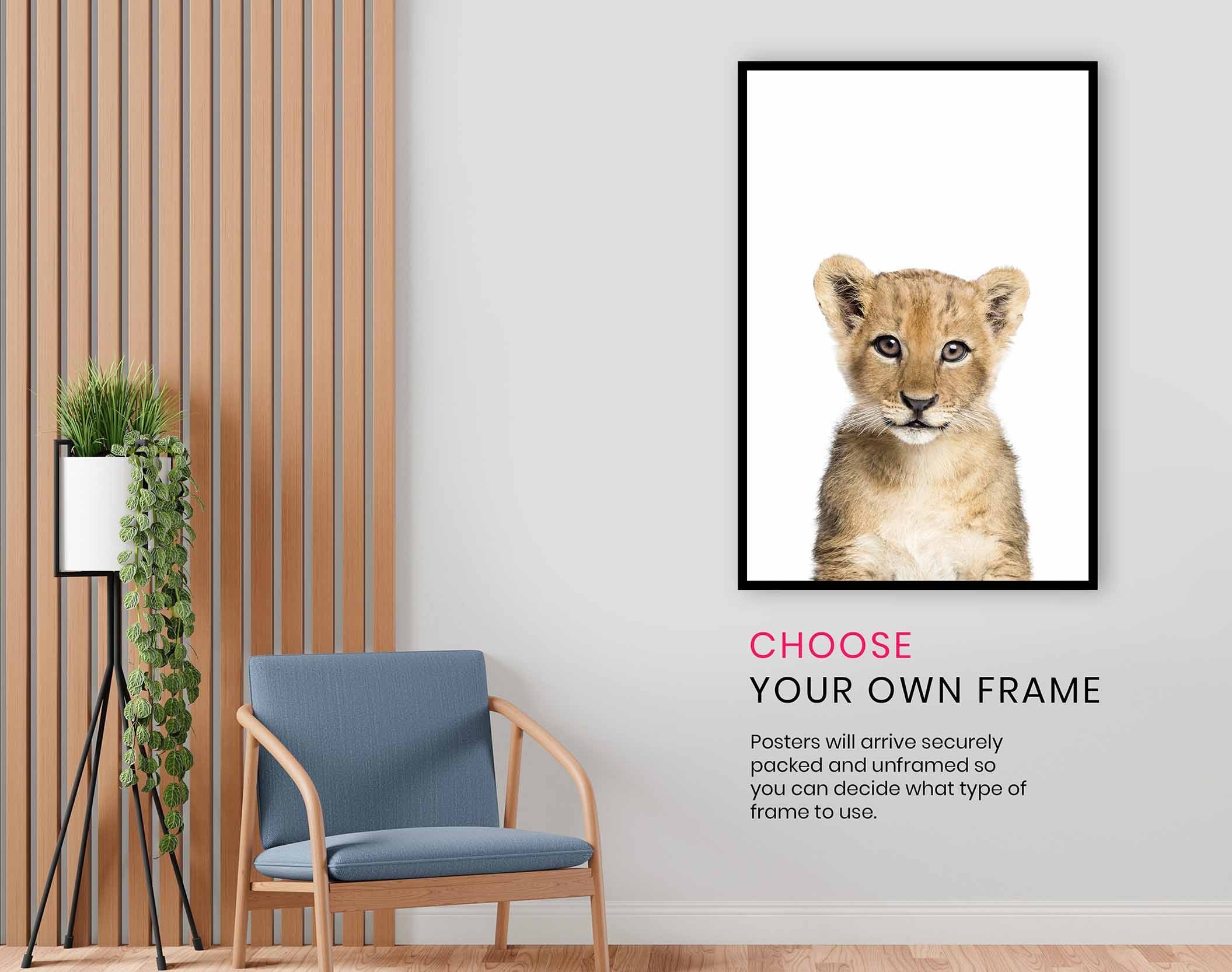 Baby Lion, Pictures for Home Walls, Bedroom, Living Room & Bathroom Decor