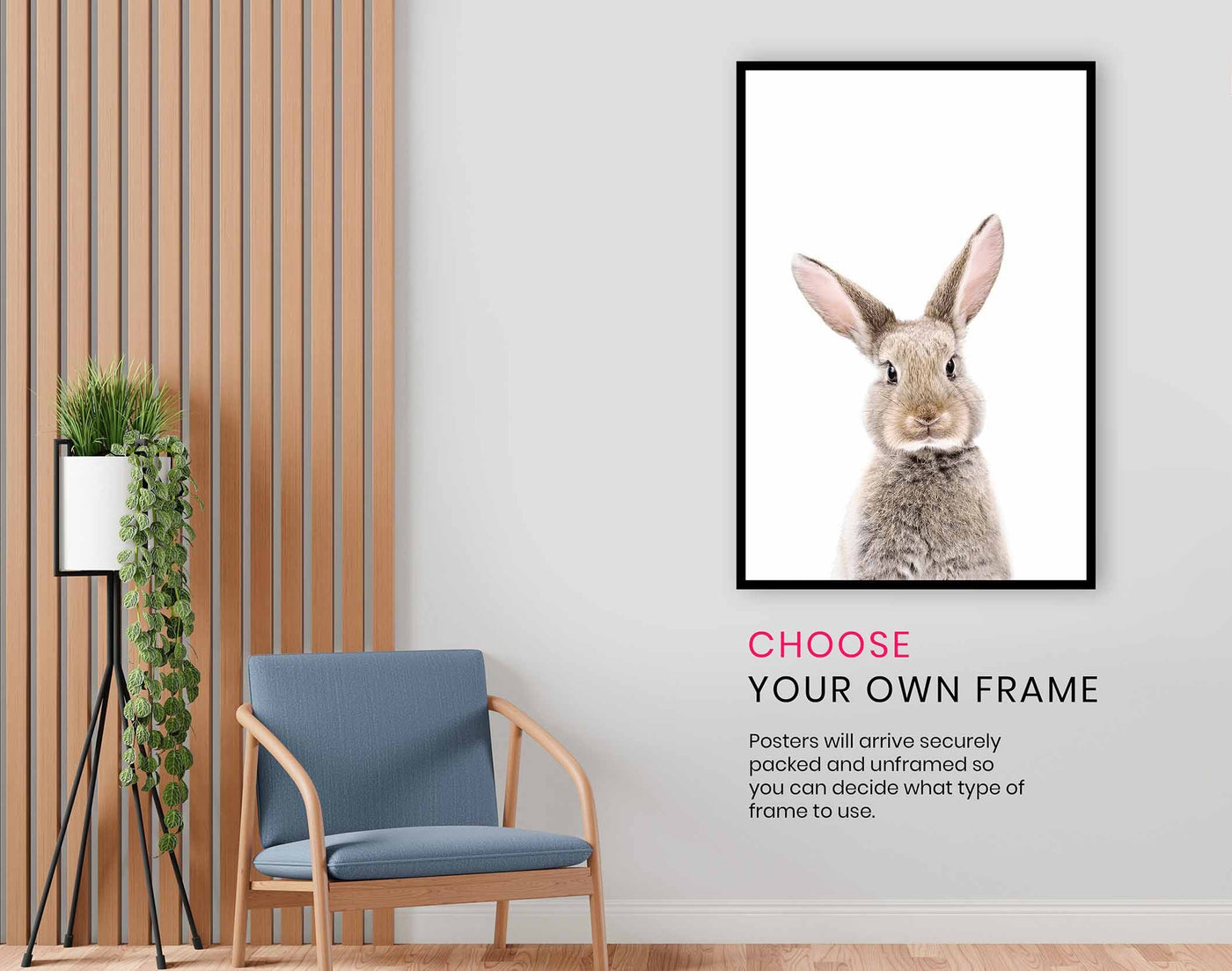 Baby Rabbit, Pictures for Home Walls, Bedroom, Living Room & Bathroom Decor