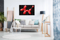 Balloon Dog, Pictures for Home Walls, Bedroom, Living Room & Bathroom Decor