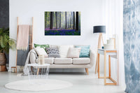 Bluebells, Pictures for Home Walls, Bedroom, Living Room & Bathroom Decor