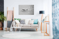 Breaking the net, Pictures for Home Walls, Bedroom, Living Room & Bathroom Decor