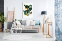 Butterflies 3, Pictures for Home Walls, Bedroom, Living Room & Bathroom Decor