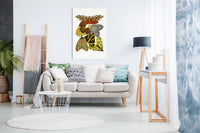 Butterflies 6, Pictures for Home Walls, Bedroom, Living Room & Bathroom Decor