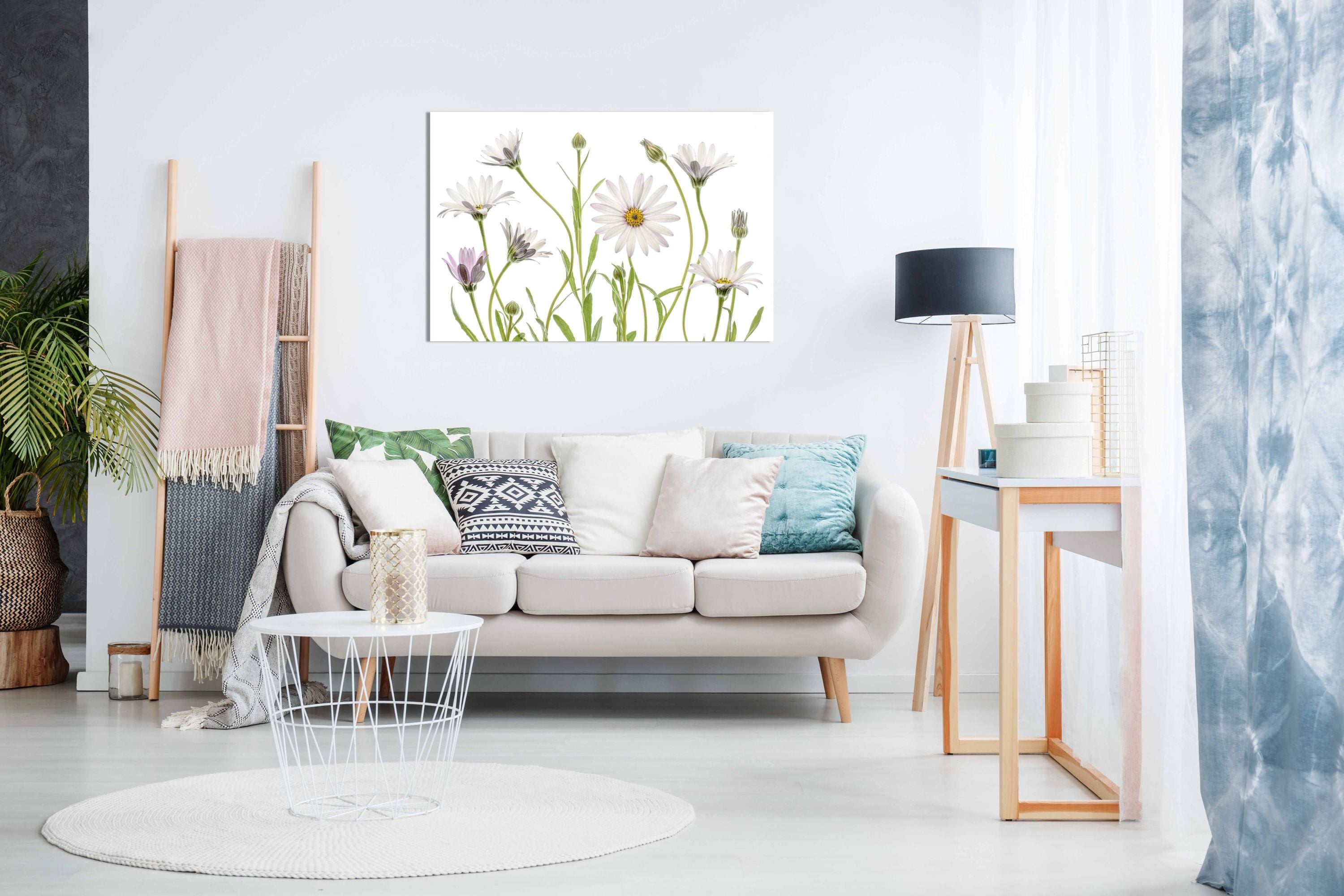 Cape Daisies, Pictures for Home Walls, Bedroom, Living Room & Bathroom Decor