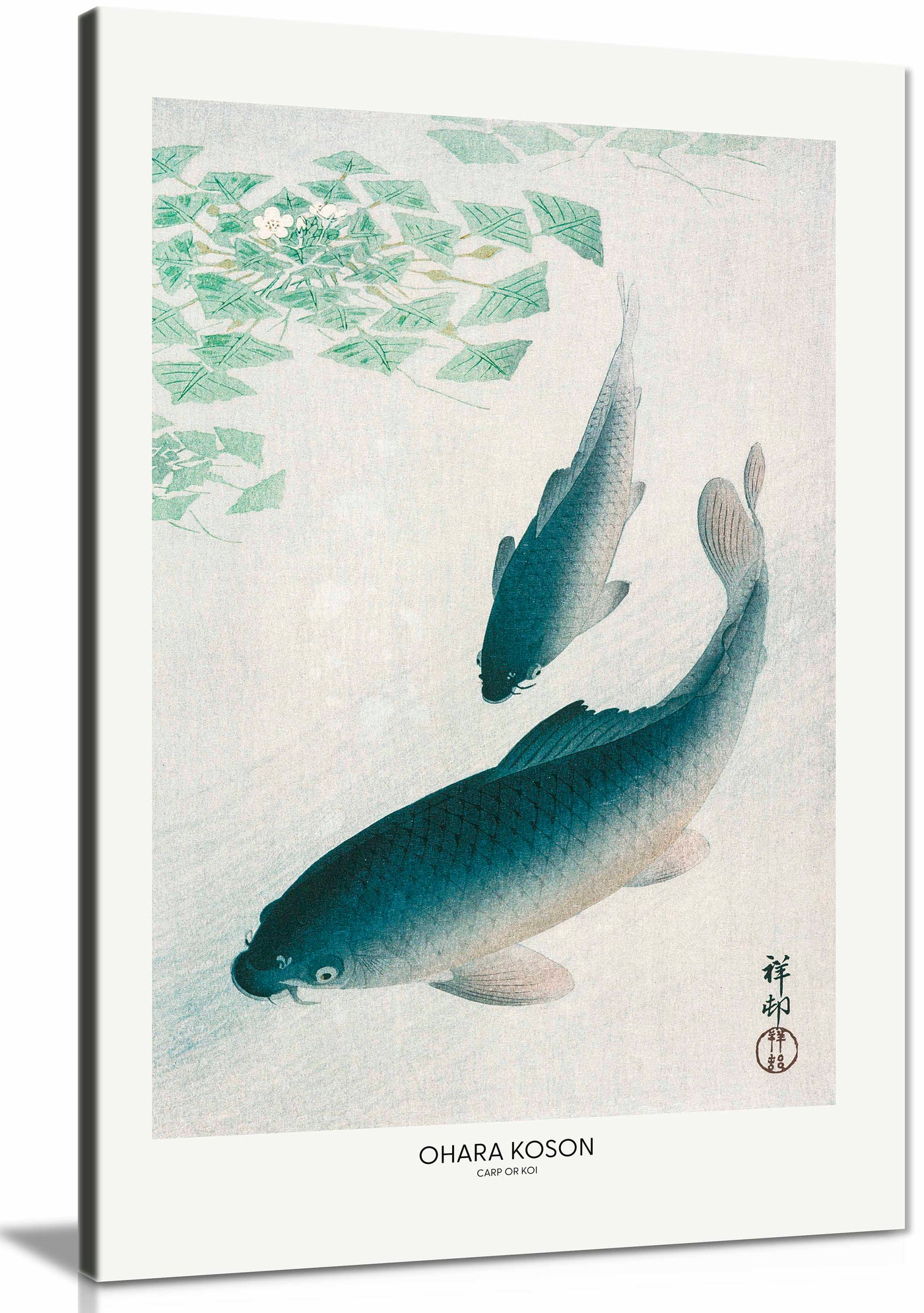Canvas