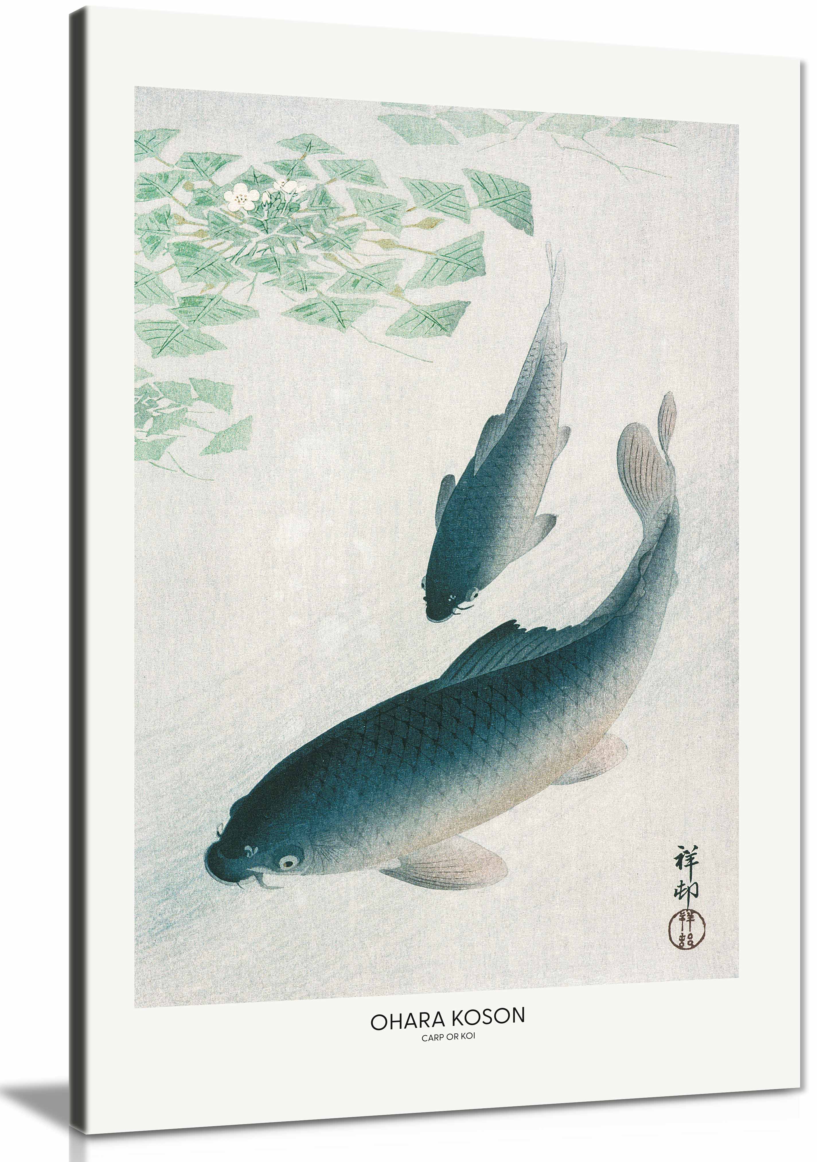 Canvas