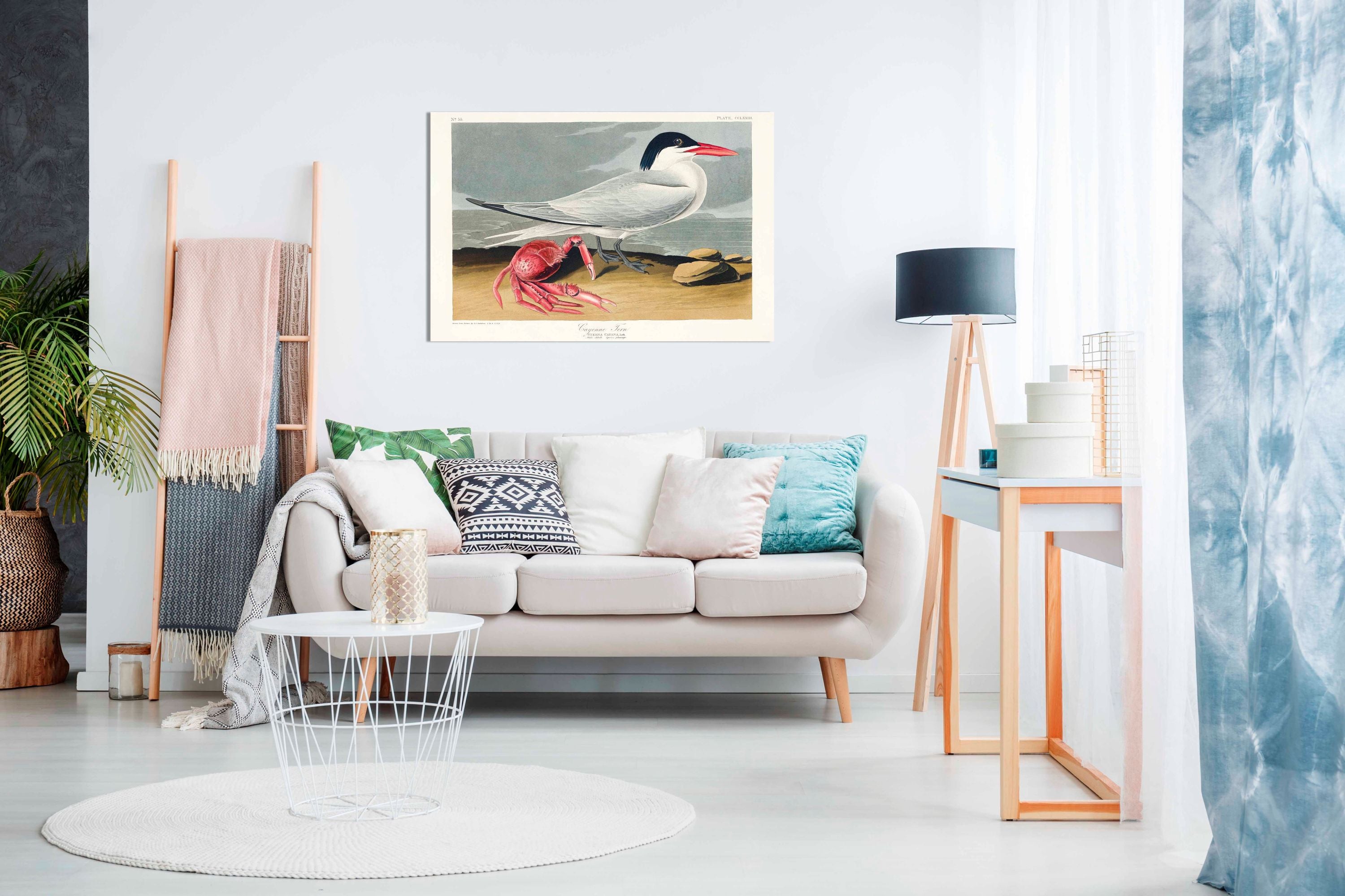 Cayenne Tern From Birds of America 1827, Pictures for Home Walls, Bedroom, Living Room & Bathroom Decor