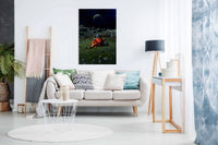 Chapter IX, Pictures for Home Walls, Bedroom, Living Room & Bathroom Decor