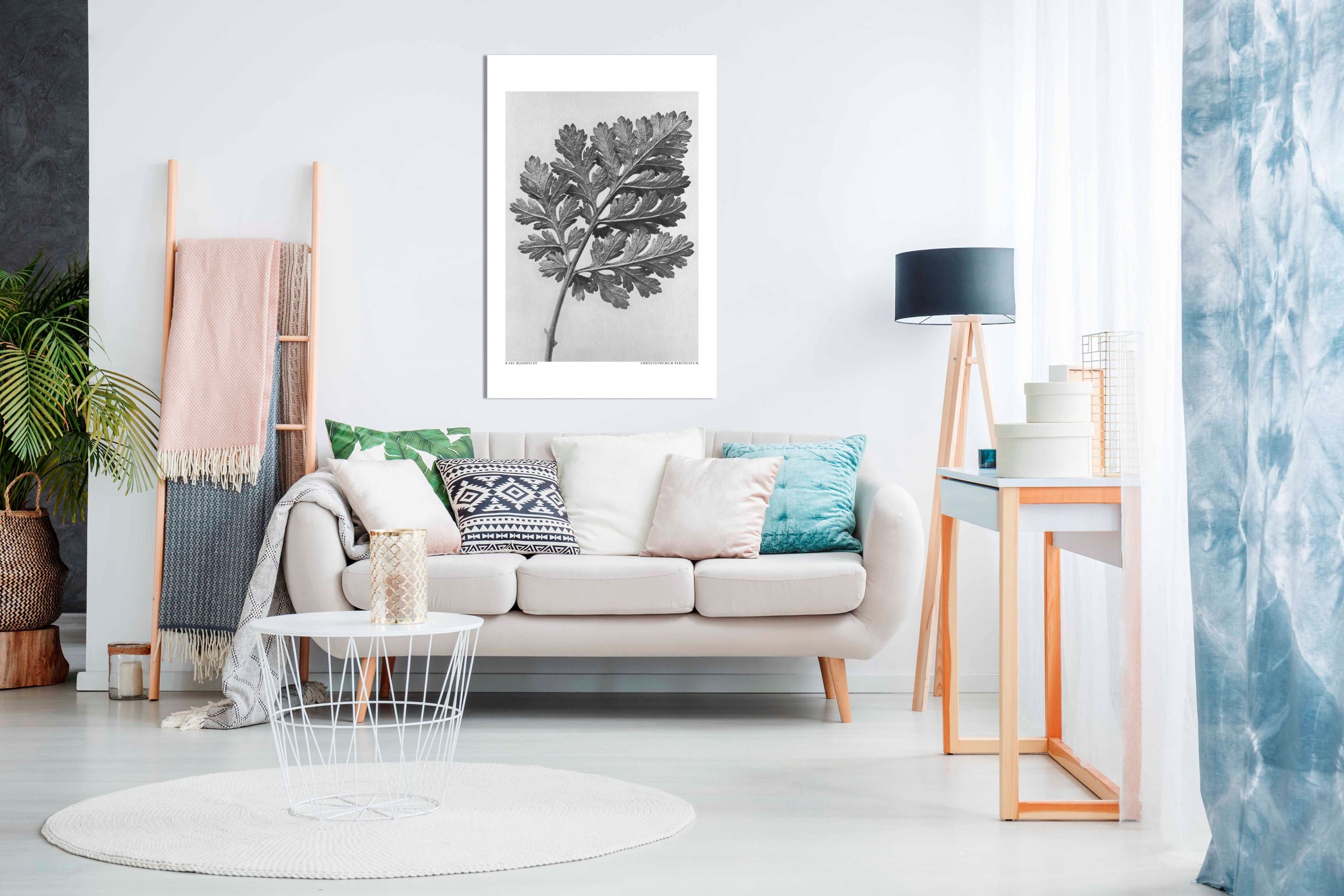 Chrysanthemum parthenium, Pictures for Home Walls, Bedroom, Living Room & Bathroom Decor