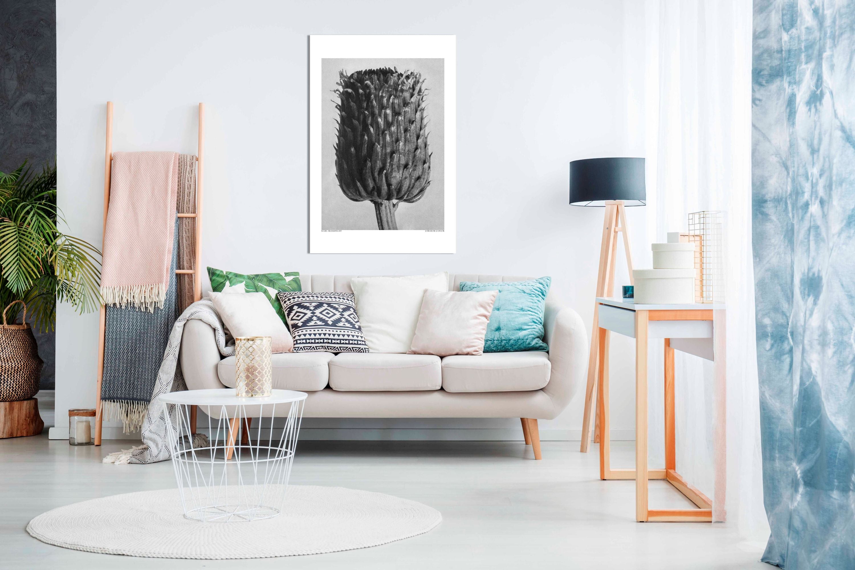 Cirsium Canum Thistle, Pictures for Home Walls, Bedroom, Living Room & Bathroom Decor