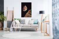 Climbing in the Cosmos, Pictures for Home Walls, Bedroom, Living Room & Bathroom Decor