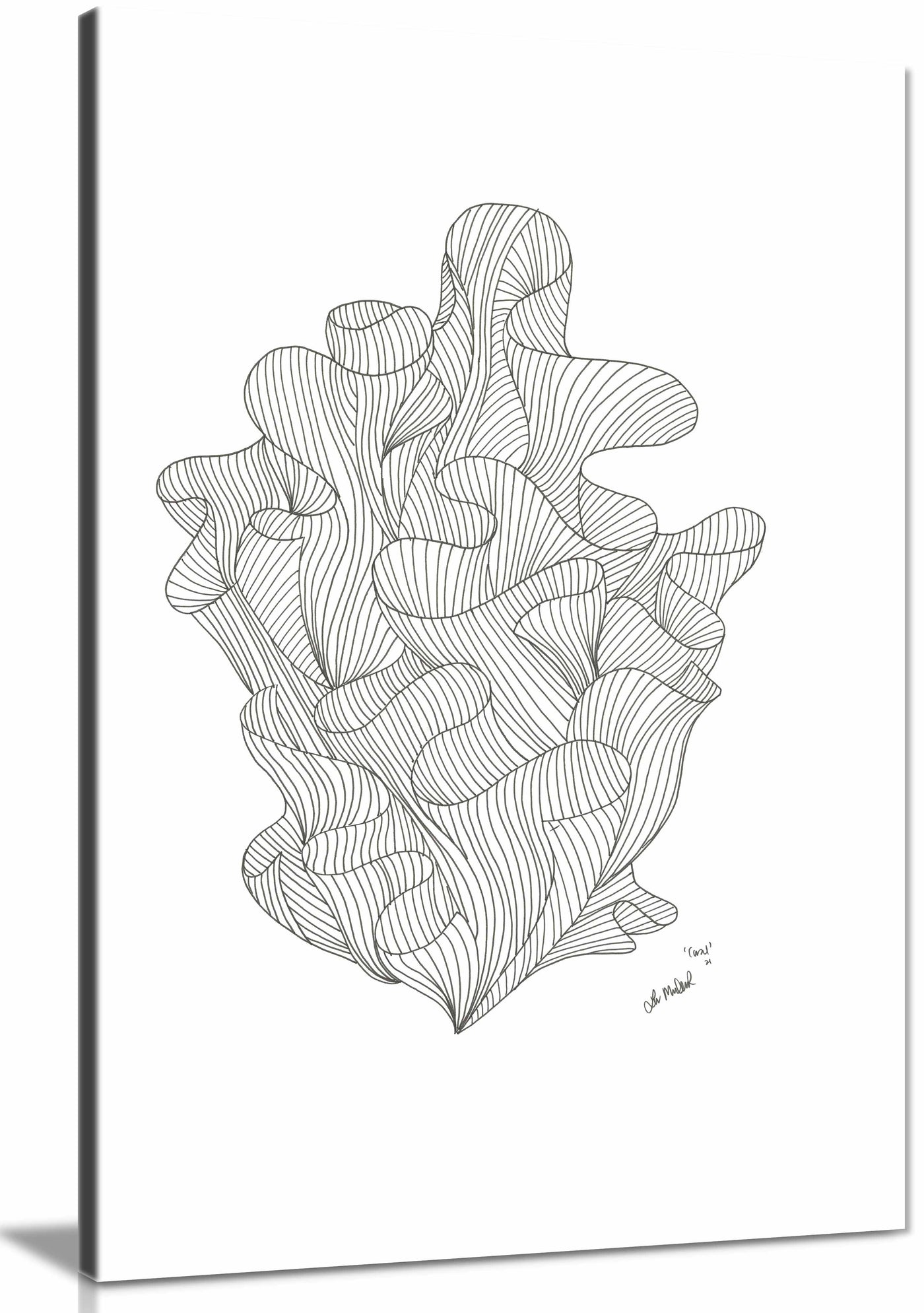 Canvas