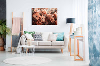 Coral Wild Peony ,Pictures for Home Walls, Bedroom, Living Room & Bathroom Decor