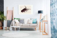 Crayfish, Pictures for Home Walls, Bedroom, Living Room & Bathroom Decor