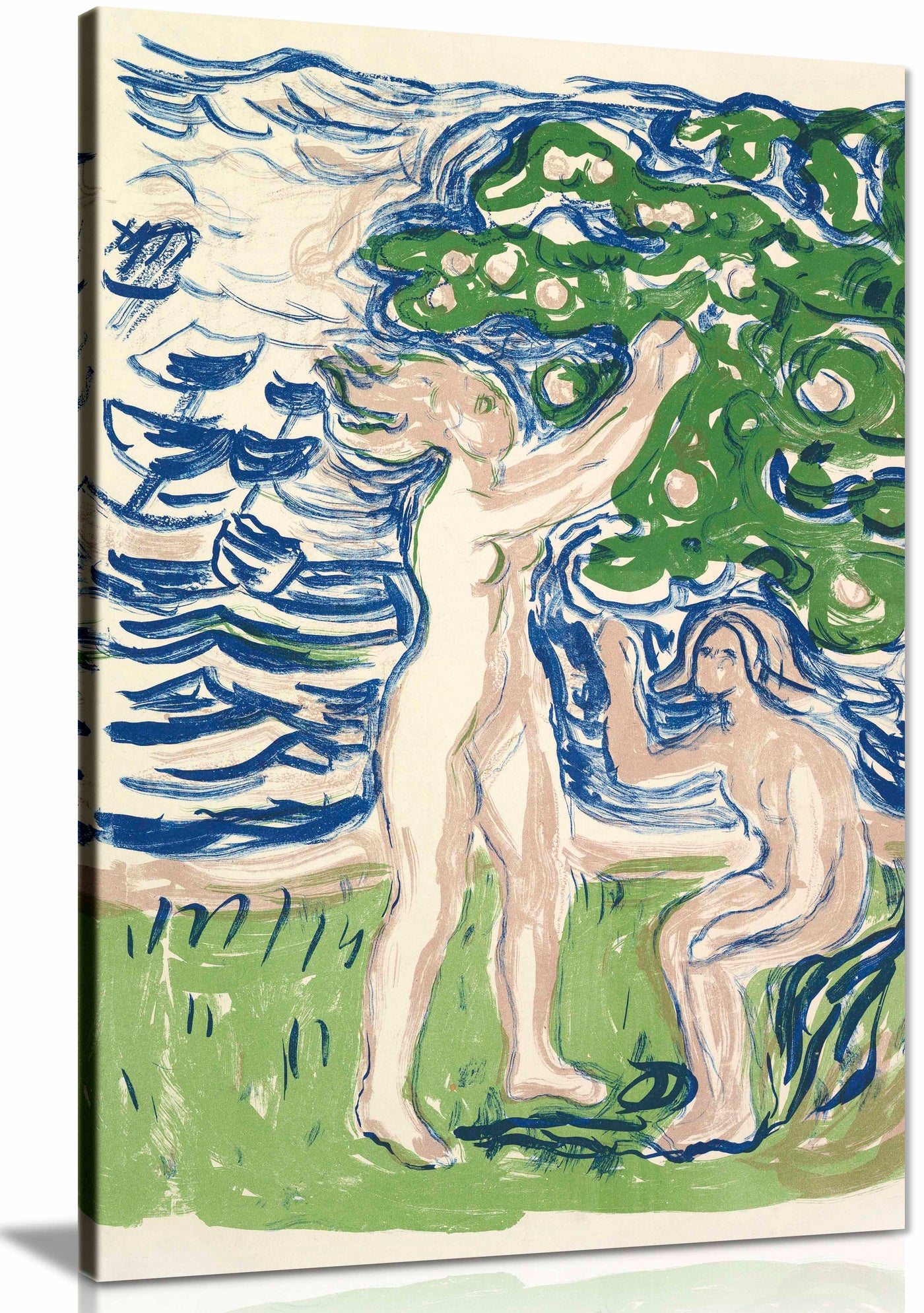 Canvas