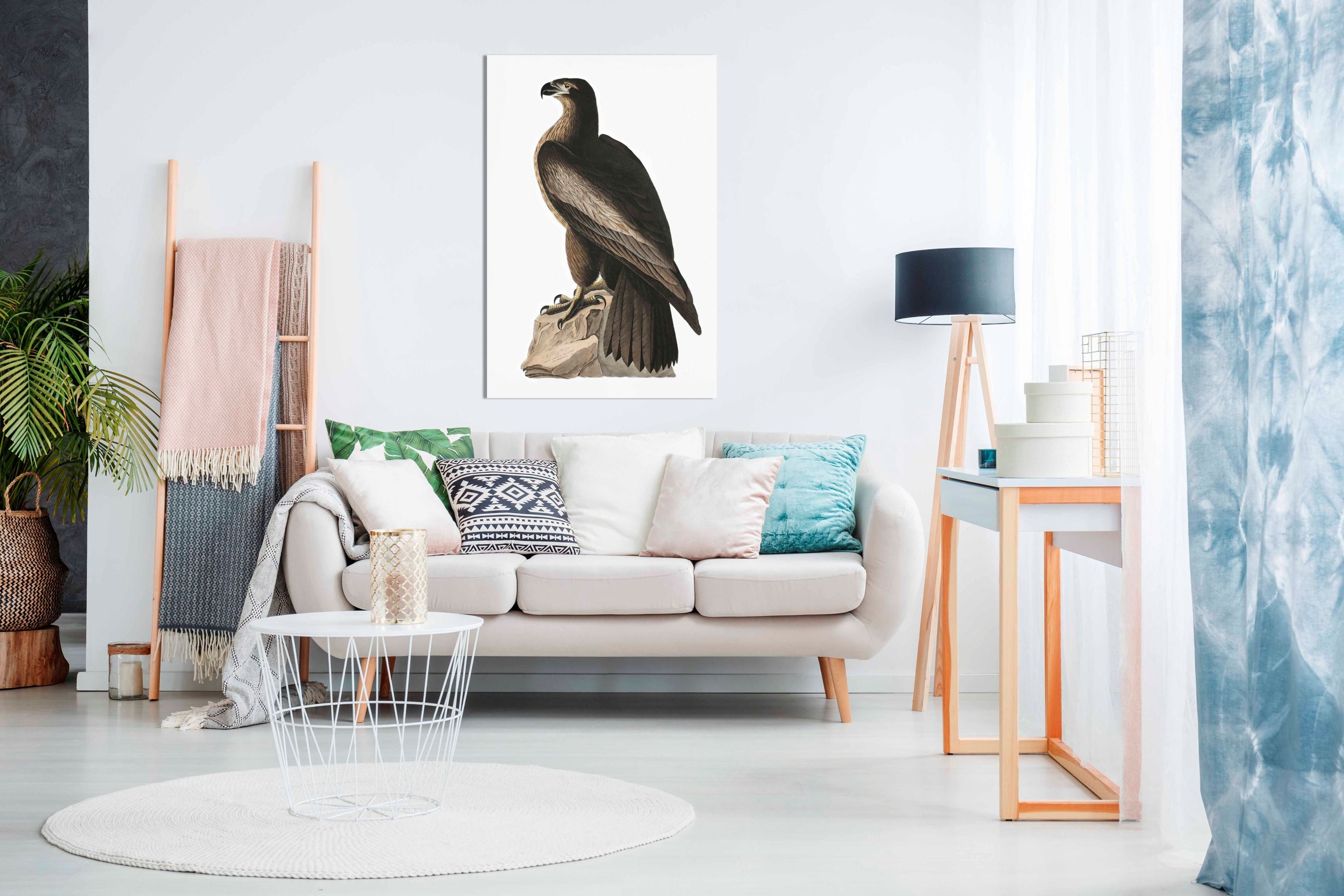 Great American Sea Eagle 1827, Pictures for Home Walls, Bedroom, Living Room & Bathroom Decor