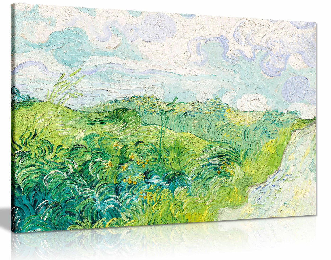 Canvas