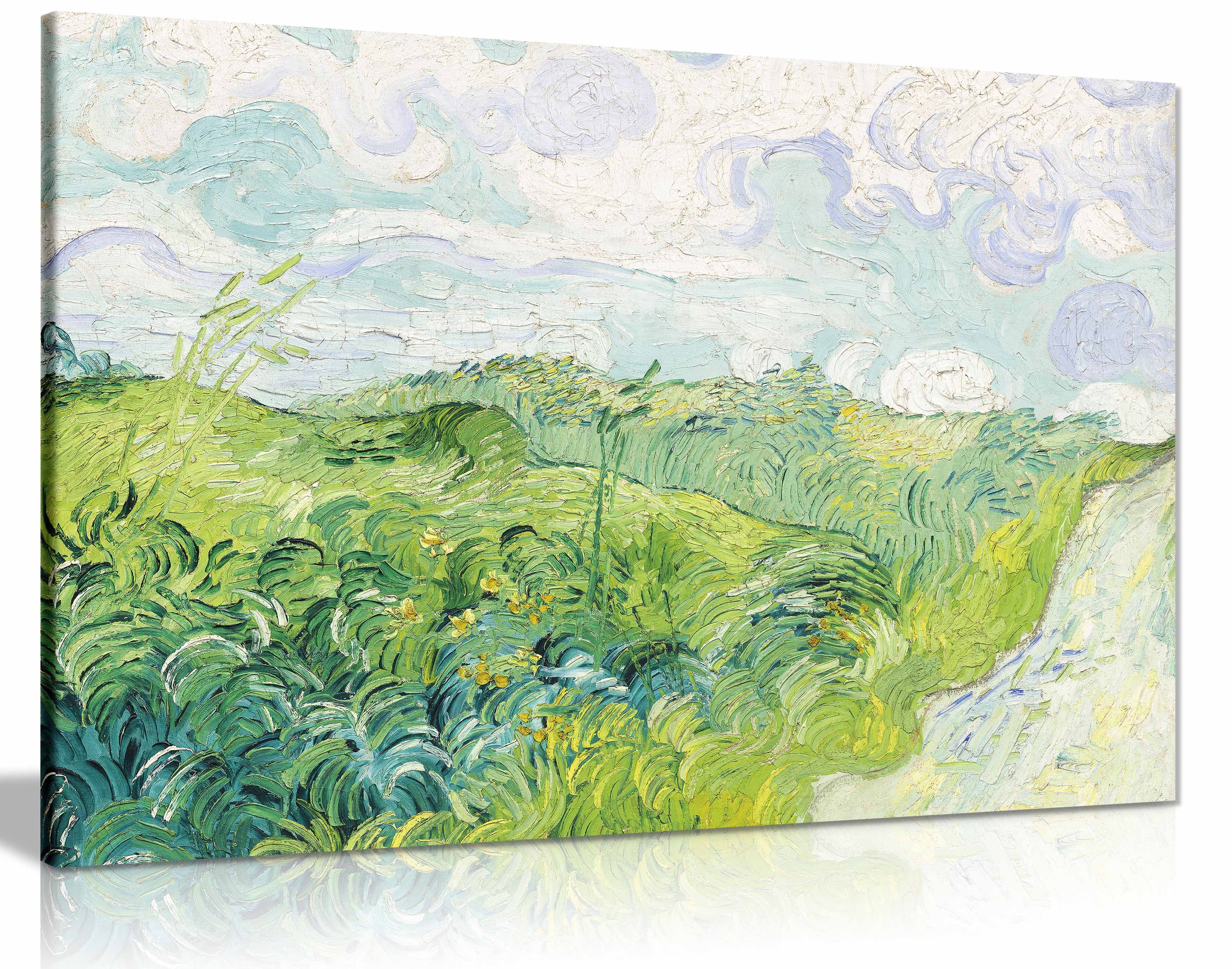 Canvas