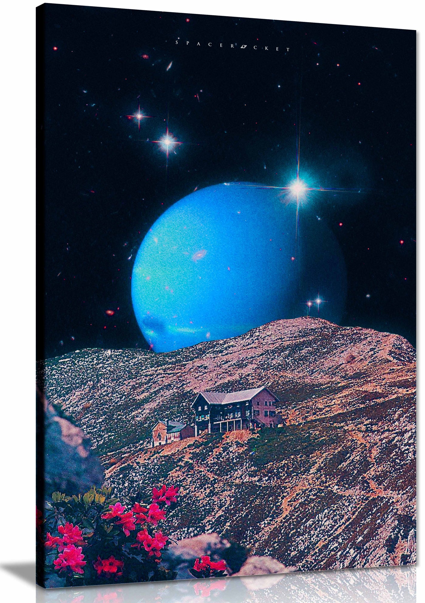 Canvas