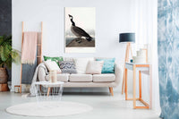 Hutchins's Barnacle Goose, Pictures for Home Walls, Bedroom, Living Room & Bathroom Decor