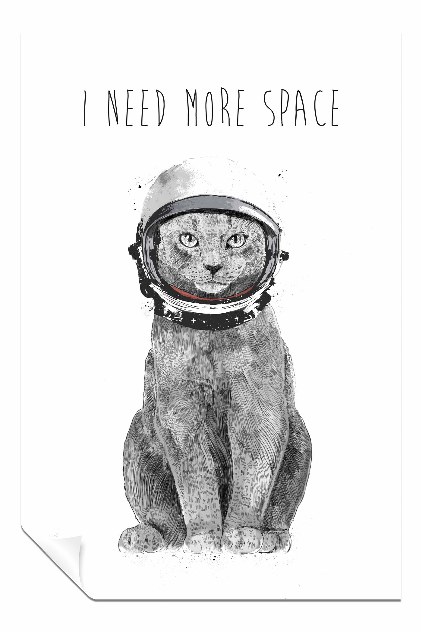 I Need More Space, Pictures for Home Walls, Bedroom, Living Room & Bathroom Decor