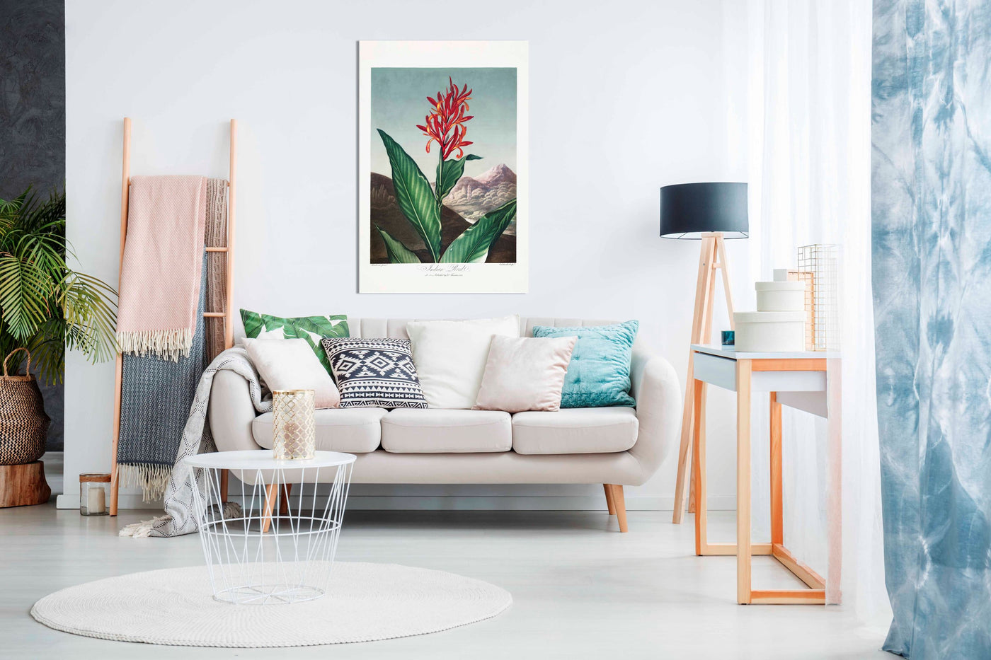 Indian Reed from The Temple of Flora, Pictures for Home Walls, Bedroom, Living Room & Bathroom Decor