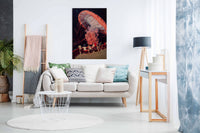 Jelly Fish Underwater 2, Pictures for Home Walls, Bedroom, Living Room & Bathroom Decor