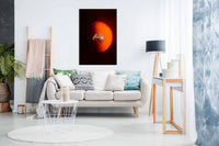 Leaving the Planet, Pictures for Home Walls, Bedroom, Living Room & Bathroom Decor