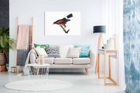 Louisiana Hawk From Birds of America 1827, Pictures for Home Walls, Bedroom, Living Room & Bathroom Decor