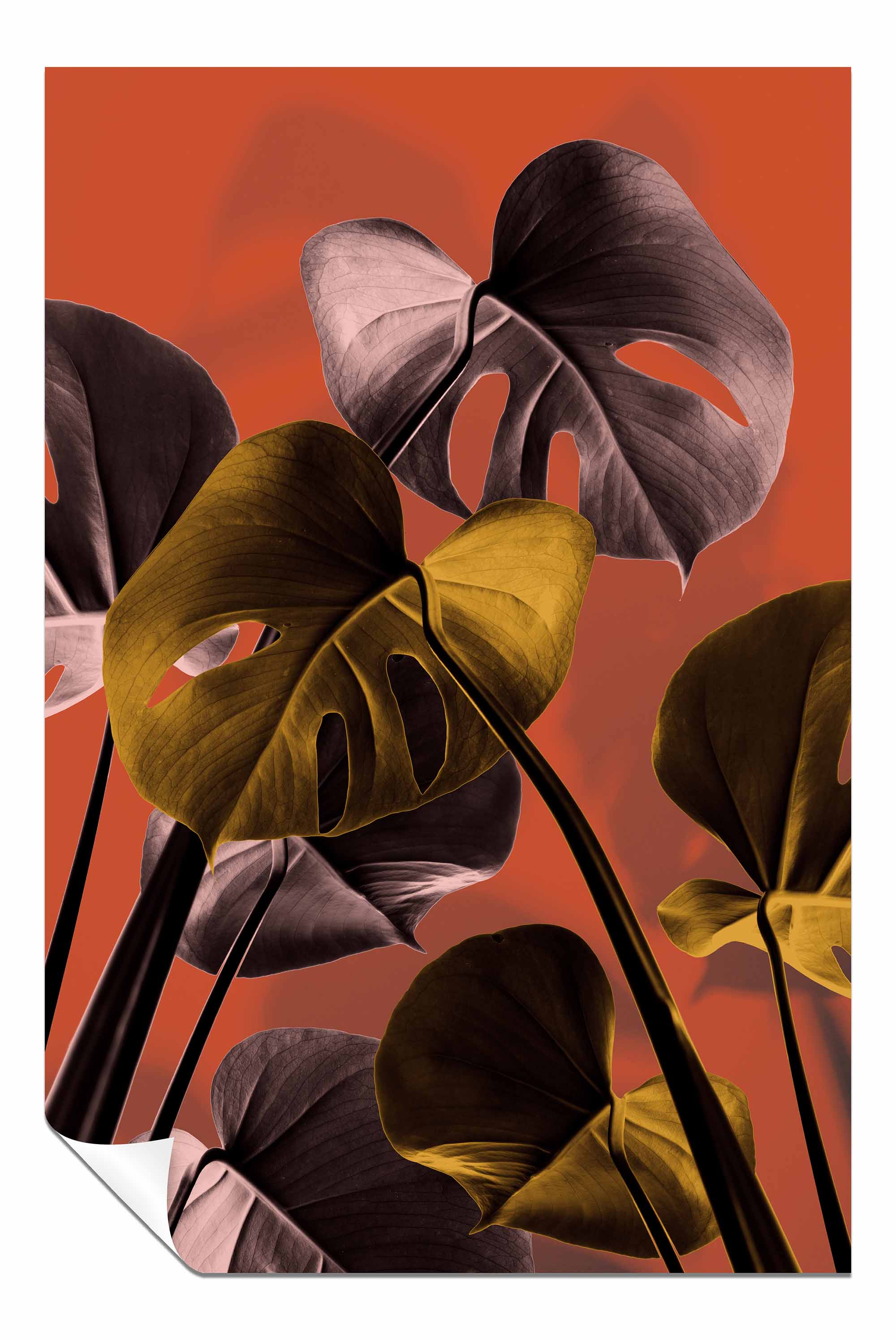 Monstera Orange 01, Pictures for Home Walls, Bedroom, Living Room & Bathroom Decor
