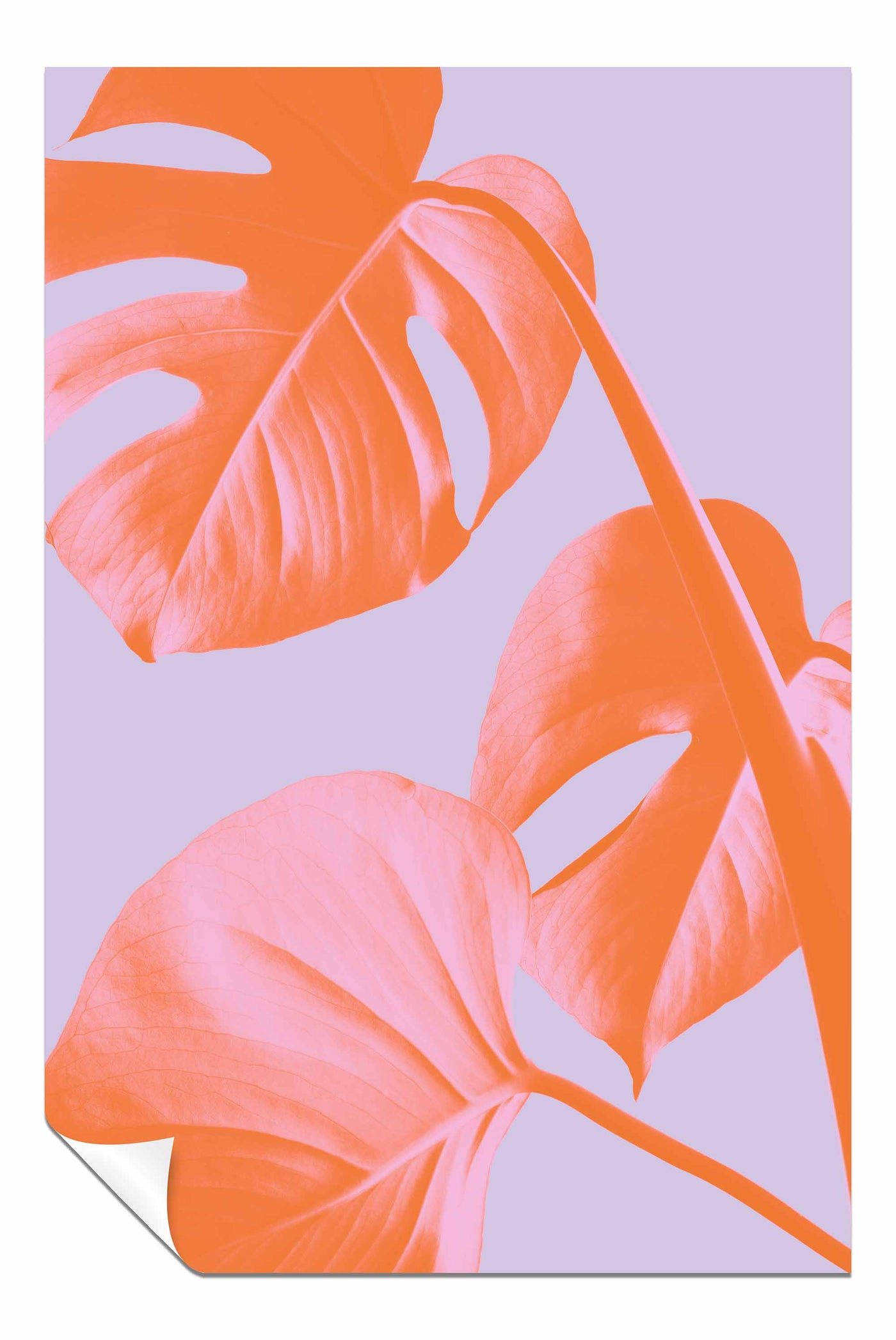 Monstera Purple 03, Pictures for Home Walls, Bedroom, Living Room & Bathroom Decor