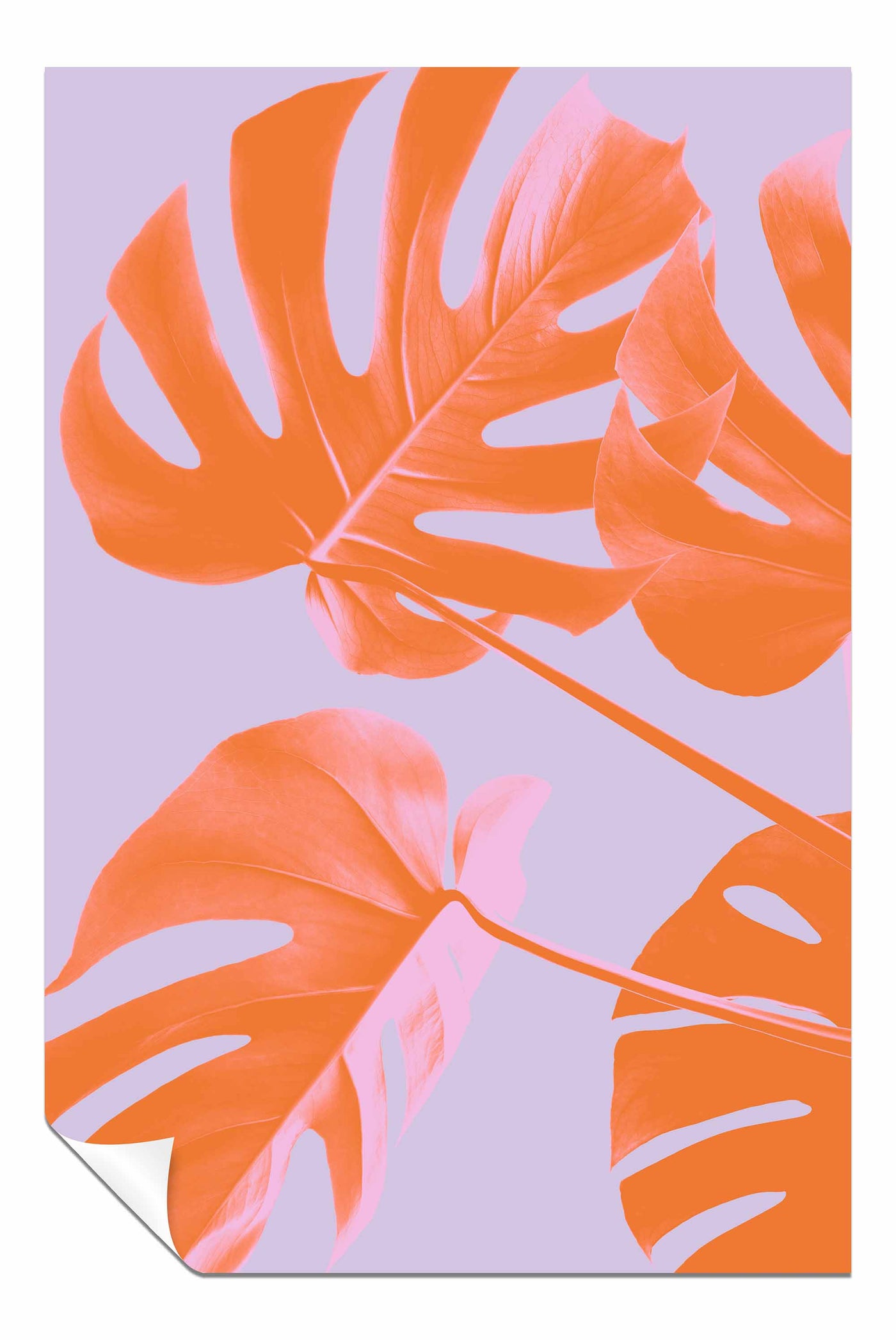 Monstera Purple 04, Pictures for Home Walls, Bedroom, Living Room & Bathroom Decor