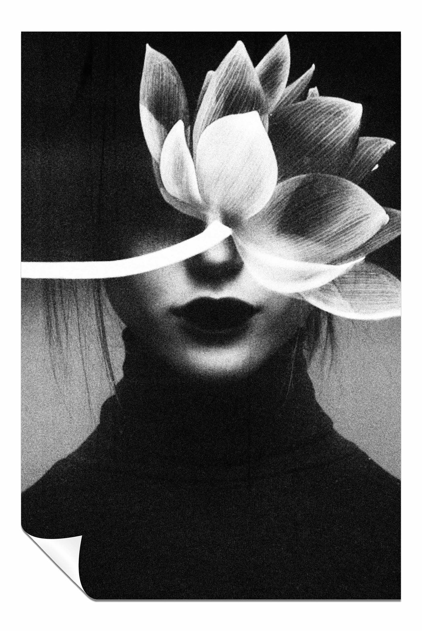 Pain like a flower blossom, Pictures for Home Walls, Bedroom, Living Room & Bathroom Decor
