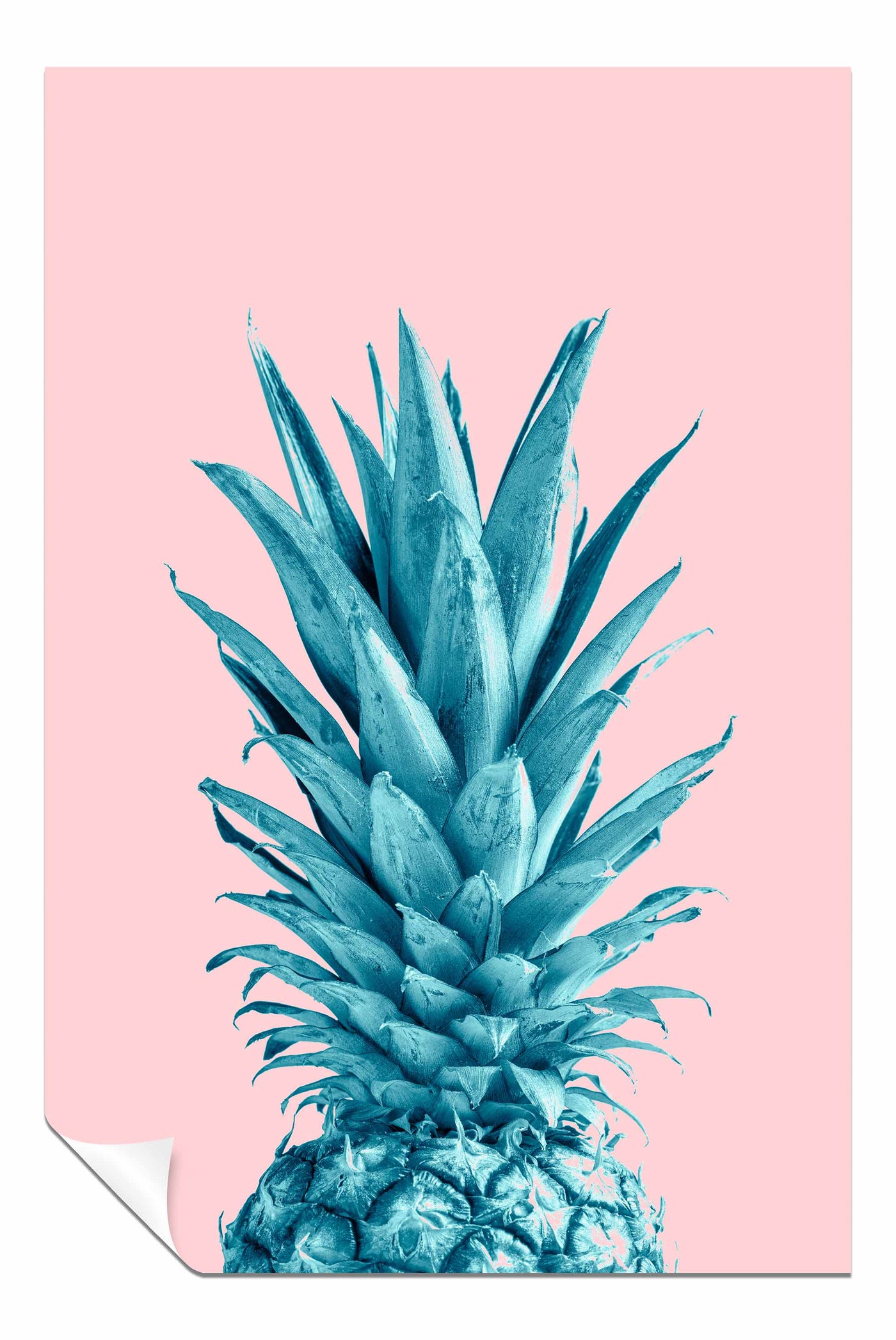 Pineapple Pink 07, Pictures for Home Walls, Bedroom, Living Room & Bathroom Decor