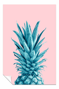 Pineapple Pink 07, Pictures for Home Walls, Bedroom, Living Room & Bathroom Decor