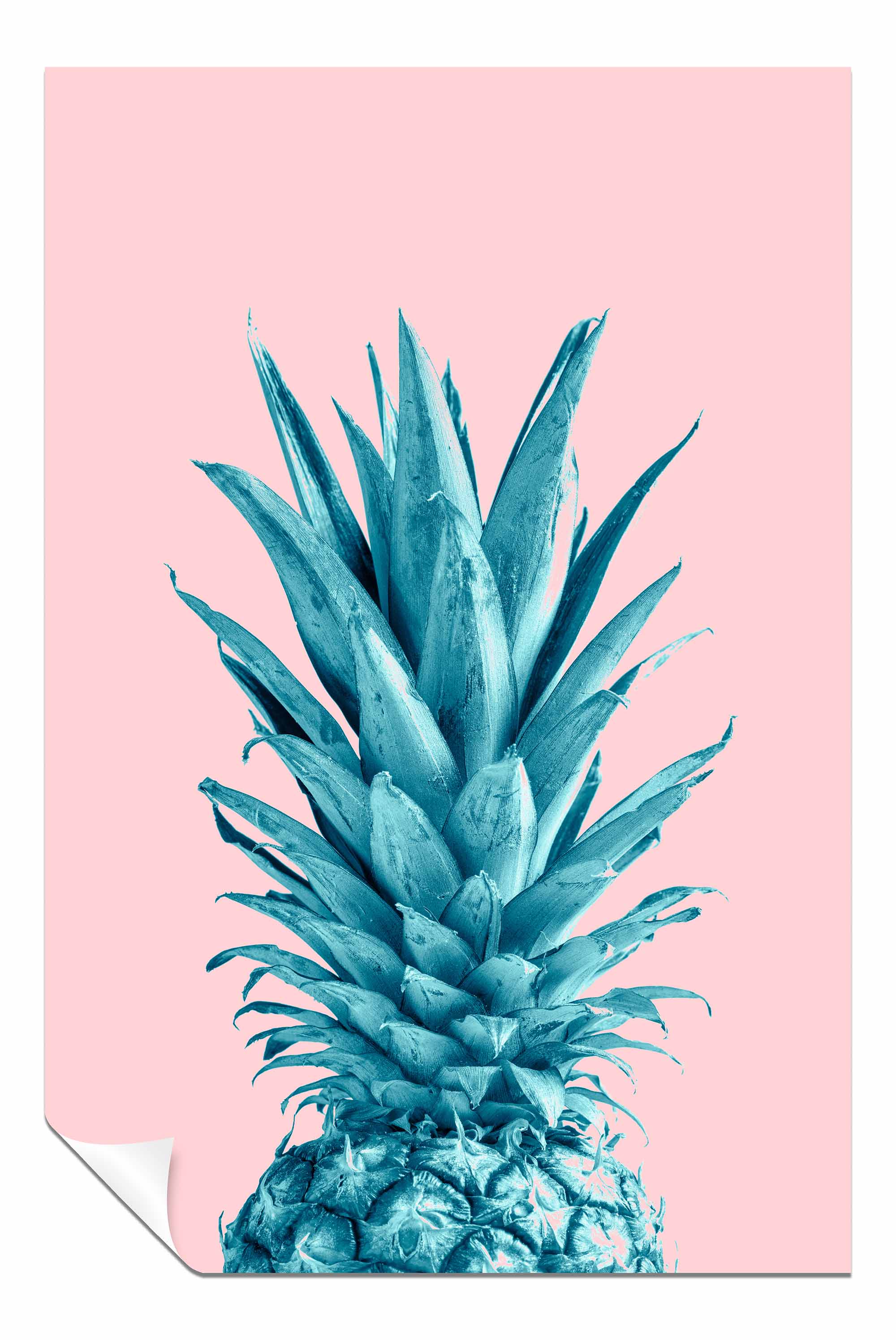 Pineapple Pink 07, Pictures for Home Walls, Bedroom, Living Room & Bathroom Decor