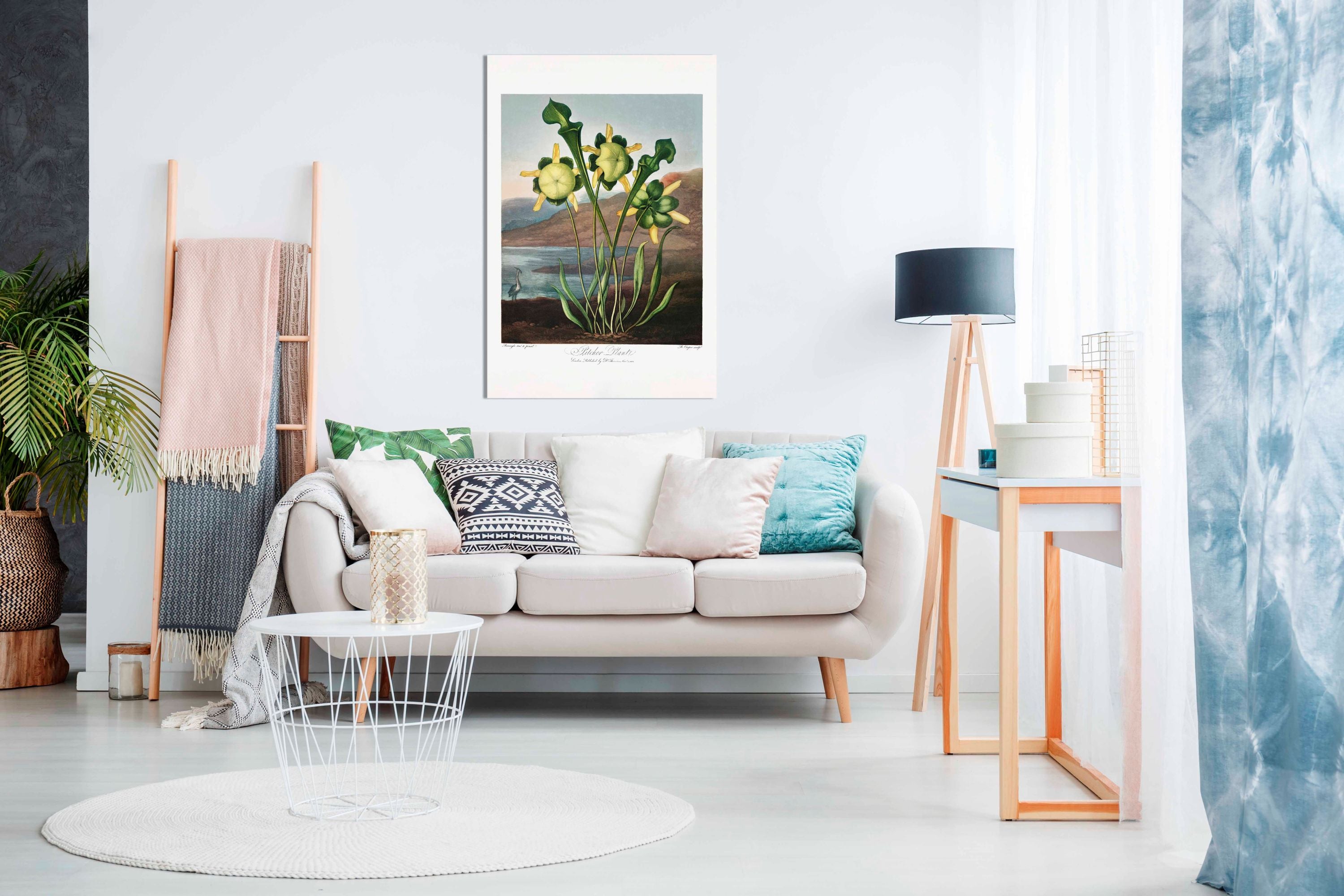 Pitcher Plant, Pictures for Home Walls, Bedroom, Living Room & Bathroom Decor