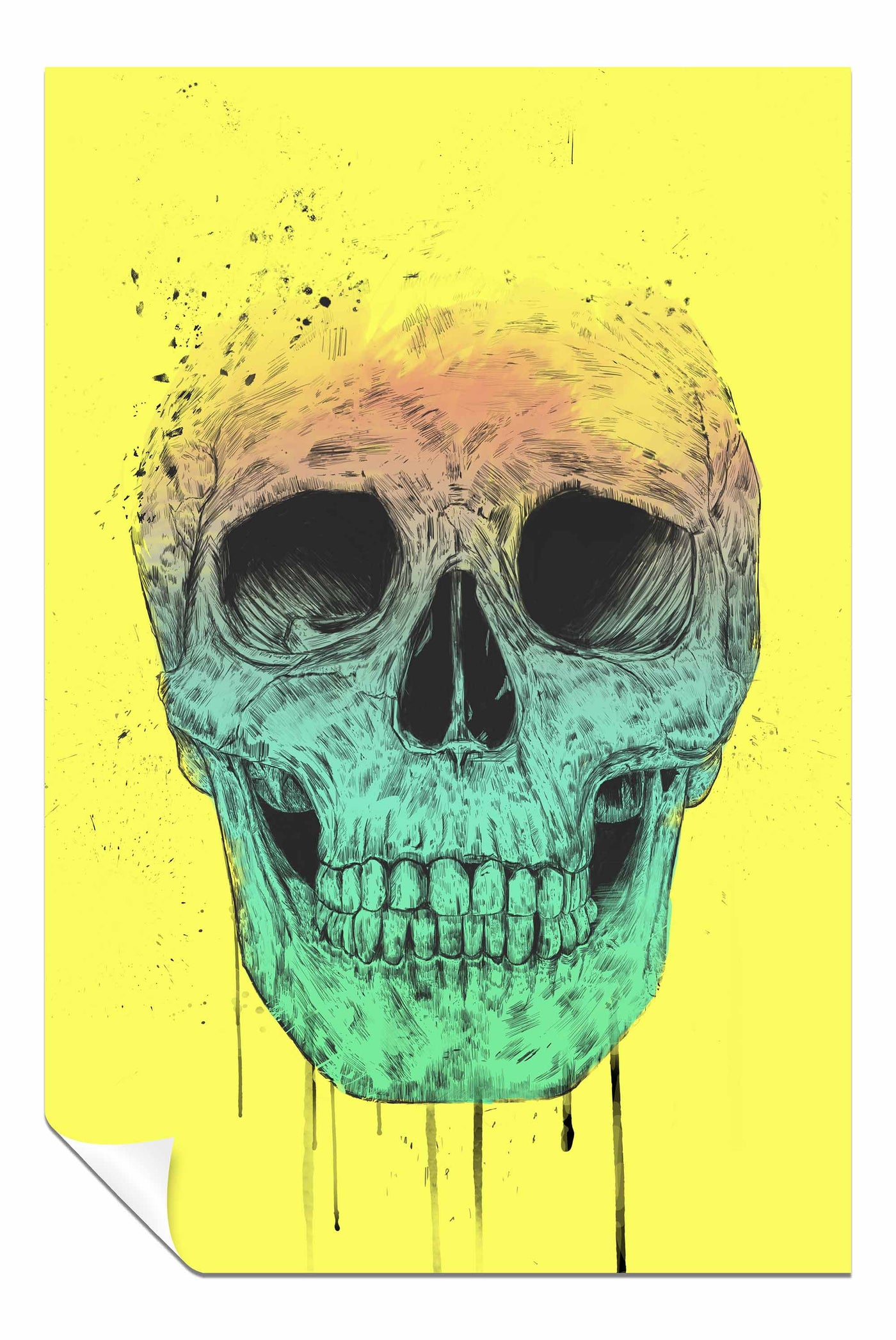 Pop Art Skull, Pictures for Home Walls, Bedroom, Living Room & Bathroom Decor