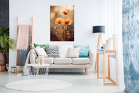 Poppy In Morning Sun ,Pictures for Home Walls, Bedroom, Living Room & Bathroom Decor