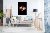 Roll Out, Pictures for Home Walls, Bedroom, Living Room & Bathroom Decor