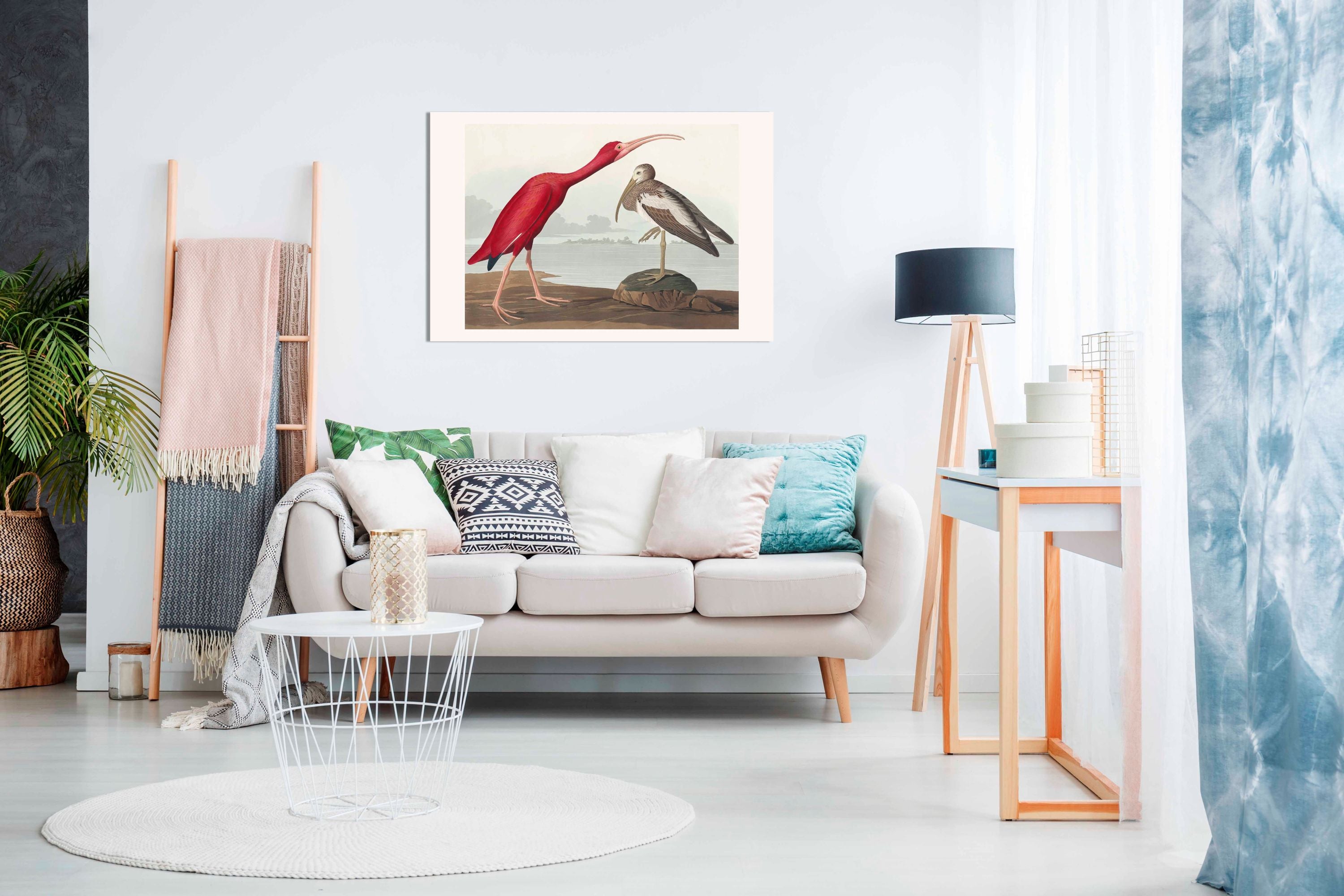 Scarlet Ibis From Birds of America 1827, Pictures for Home Walls, Bedroom, Living Room & Bathroom Decor
