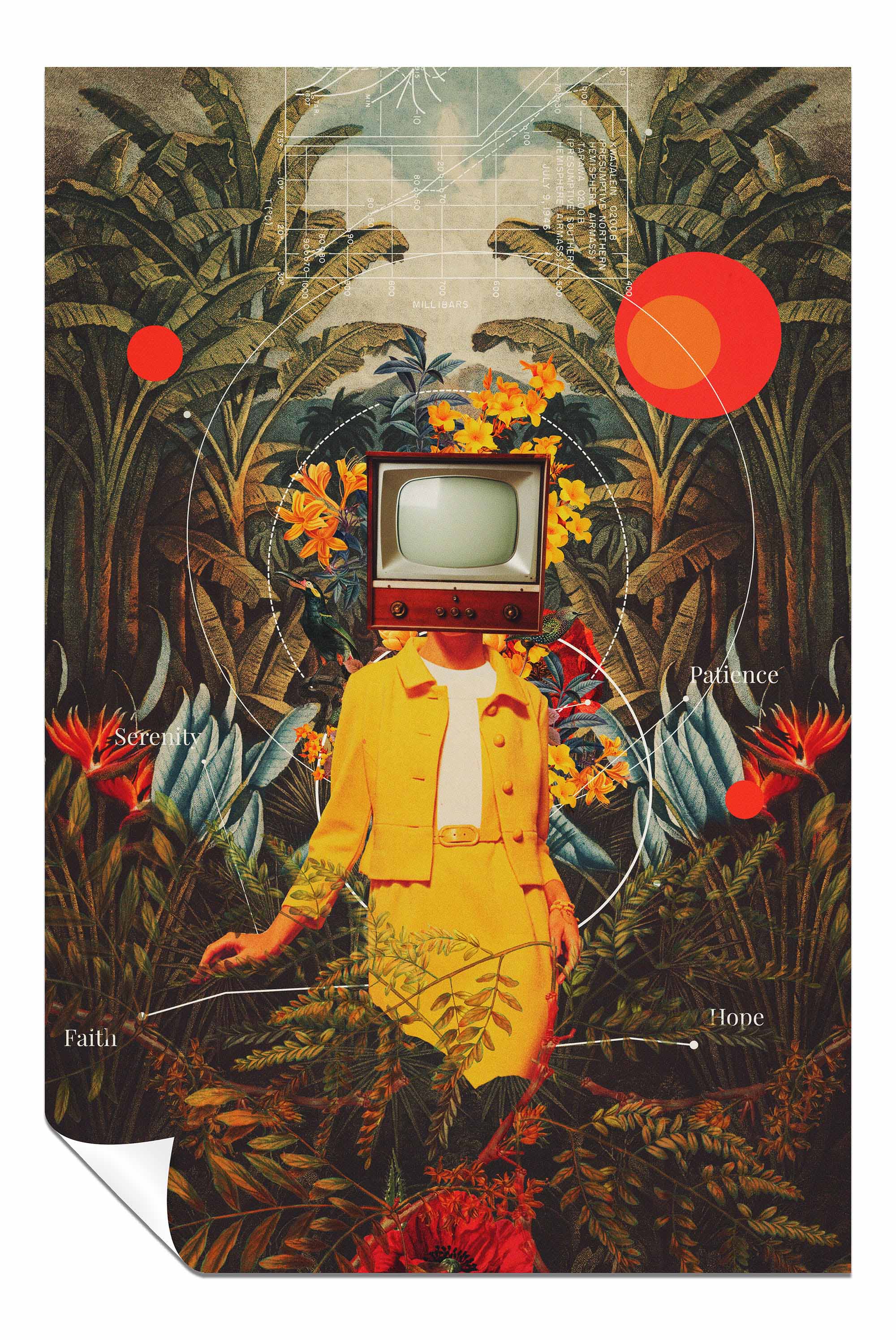 She Came From the Wilderness, Pictures for Home Walls, Bedroom, Living Room & Bathroom Decor