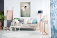 Single White, Pictures for Home Walls, Bedroom, Living Room & Bathroom Decor